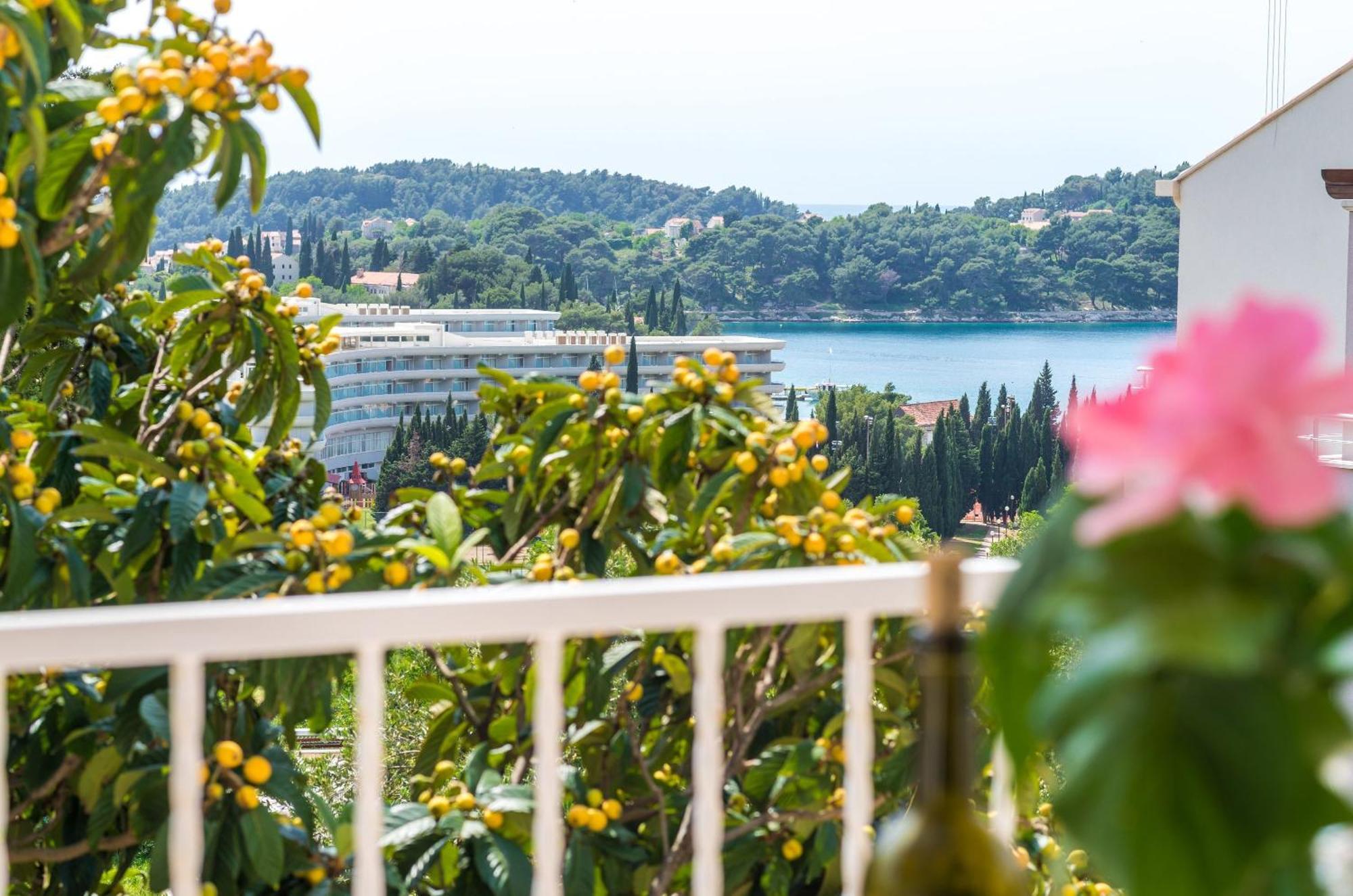 Villa Bind Cavtat Ruang foto
